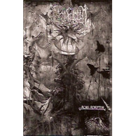 Lucifugum - Acme Adeptum