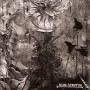 Lucifugum - Acme Adeptum