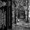 Pagan Funeral (3) - In The Silence Of Perpetual Night