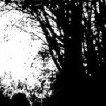 Hekate (6) - Darkness Enshrouds All Rays Of Hope