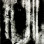 Nocturnal Feelings - Nocturnal Attack