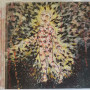 Pyrrhon (3) - The Mother Of Virtues