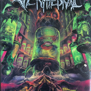 Verthebral - Regeneration