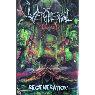 Verthebral - Regeneration