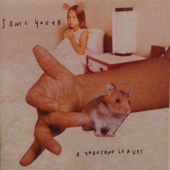 Sonic Youth - A Thousand Leaves