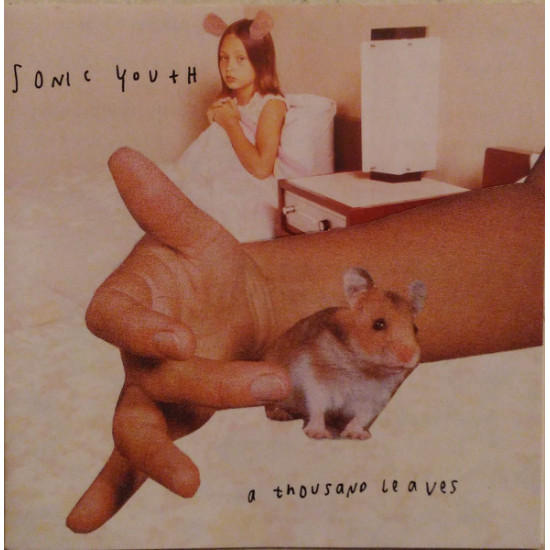 Sonic Youth - A Thousand Leaves
