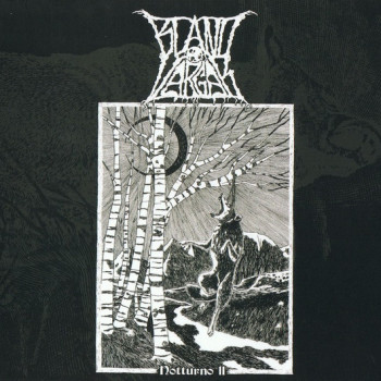 Bland Vargar - Notturno 11