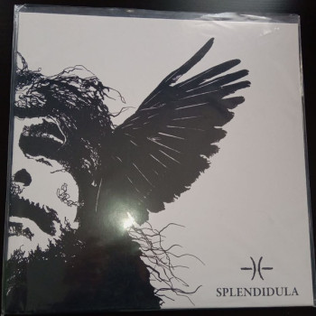 Splendidula - Somnus