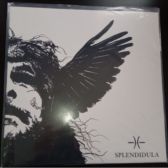Splendidula - Somnus