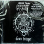 Order From Chaos - Dawn Bringer