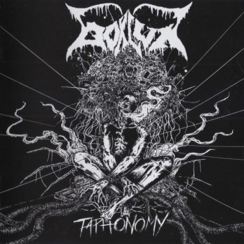 Bokluk - Taphonomy