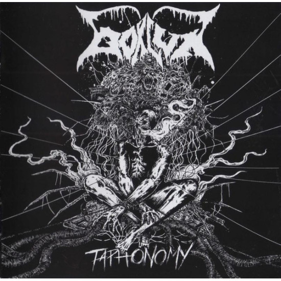 Bokluk - Taphonomy