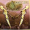 Casus Belli - Mirror Out Of Time