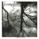Chronocide / Fifteen Dead - Chronocide / Fifteen Dead