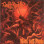 Death Reality - Flesh Still Feeds