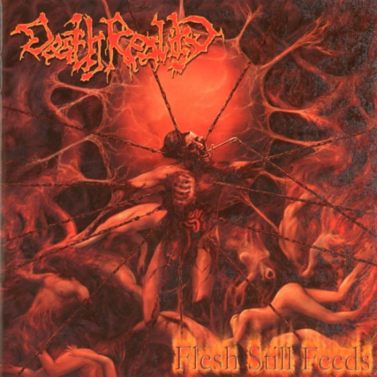 Death Reality - Flesh Still Feeds
