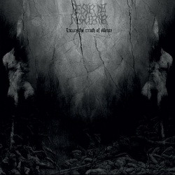 Desir De Mourir - Incure The Wrath Of Silence