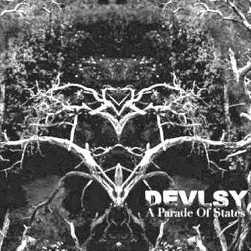 Devlsy - A Parade Of States