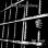 Die Entweihung - The Cage
