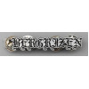Bergrizen - Logo (Metal Pin)