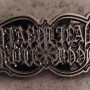 DIABOLICAL FULLMOON - logo (Pin)